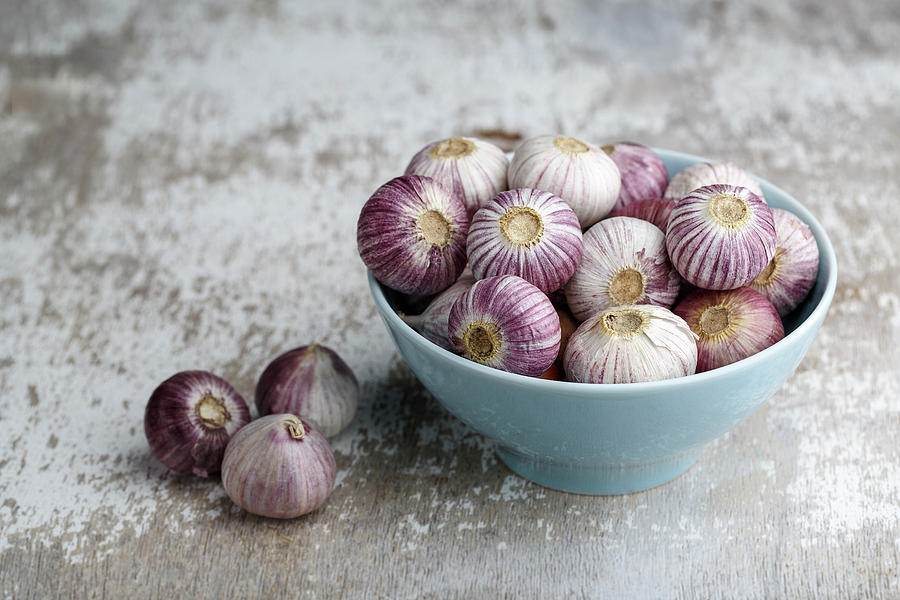 Garlic Photograph