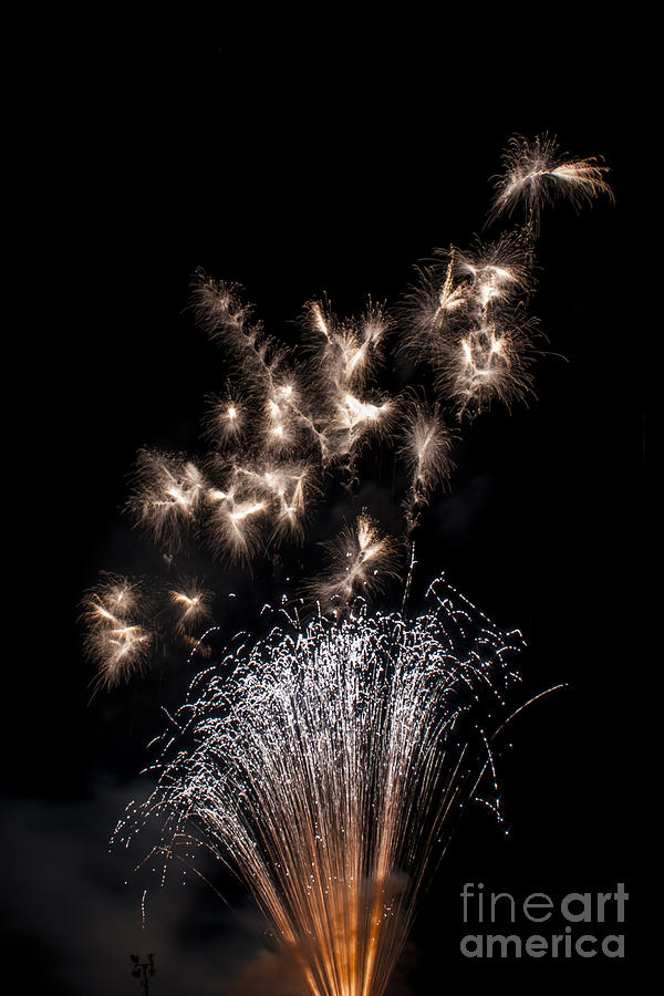 Fourth Of July Photograph - Gold Fireworks #8 by M J