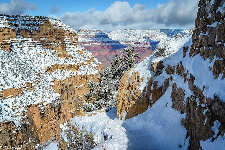 Grand Canyon #8 Photograph by Mike Ronnebeck