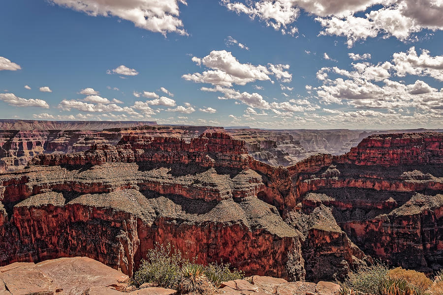 Grand Canyon #8 Photograph by Peter Lakomy