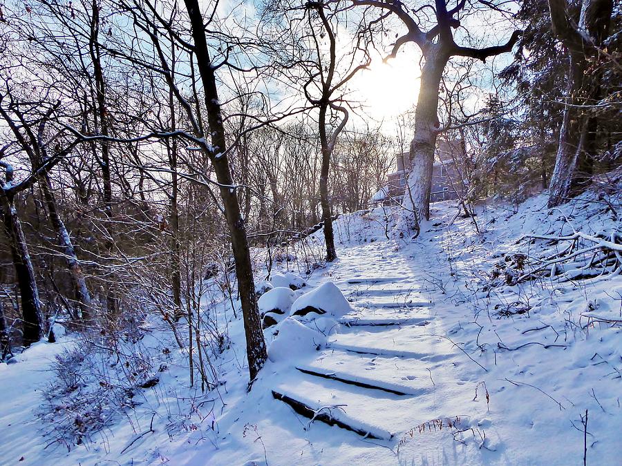 Greens Hill Winter #8 Photograph by Scott Hufford