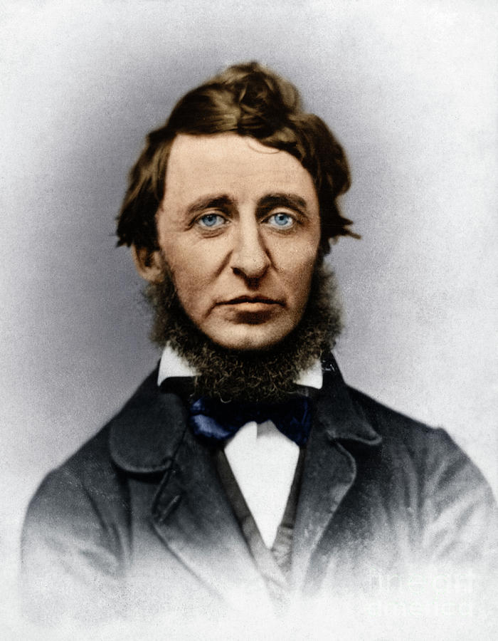 Henry David Thoreau #8 Photograph by Granger