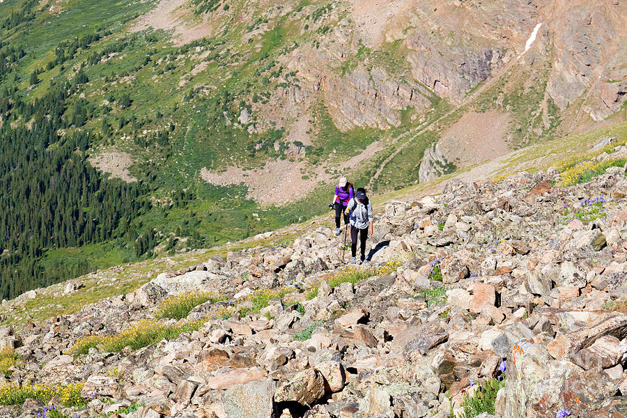 Hiking the Mount Massive Summit #8 Photograph by Steven Krull