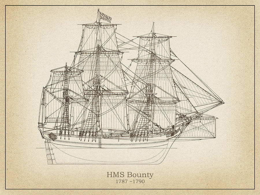 Hms Bounty Ship Plans Drawing By Stockphotosart Com 