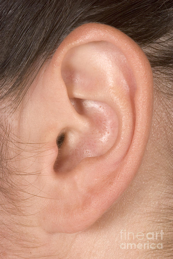 Human Ear #8 Photograph by Ted Kinsman