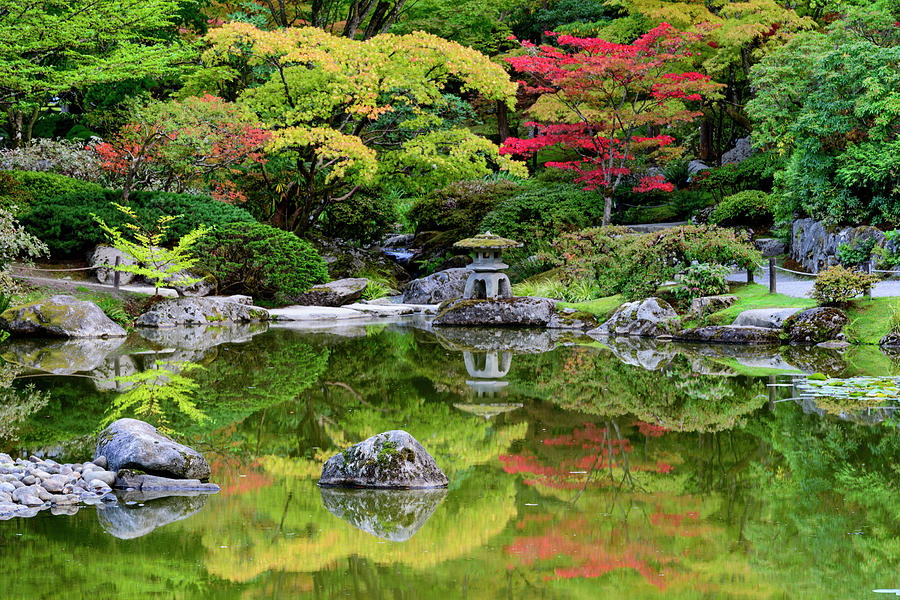 Japanese Garden, Seattle #8 Digital Art by Michael Lee
