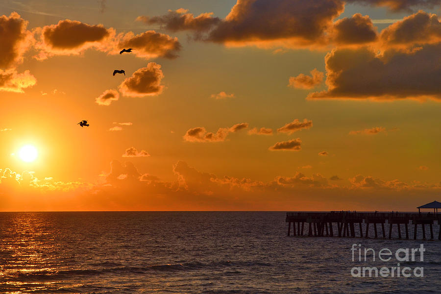8- Juno Beach Pier Sunrise Photograph by Joseph Keane