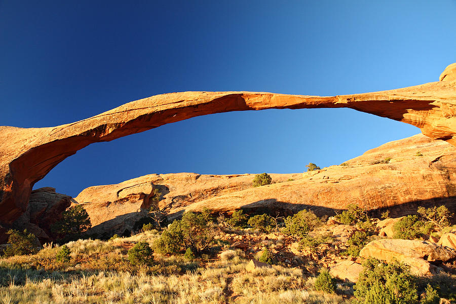 Landscape arch in Arches National Park #8 Photograph by Pierre Leclerc Photography