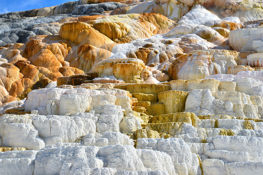 Mammoth Hot Springs #8 Photograph by Ray Mathis