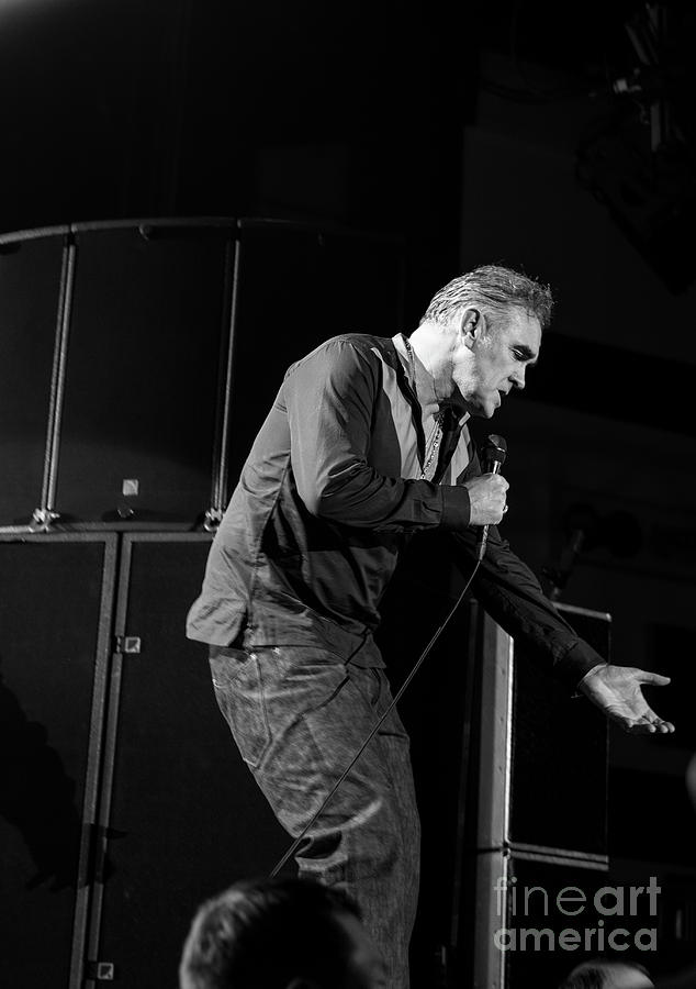 Morrissey #8 Photograph by Jenny Potter