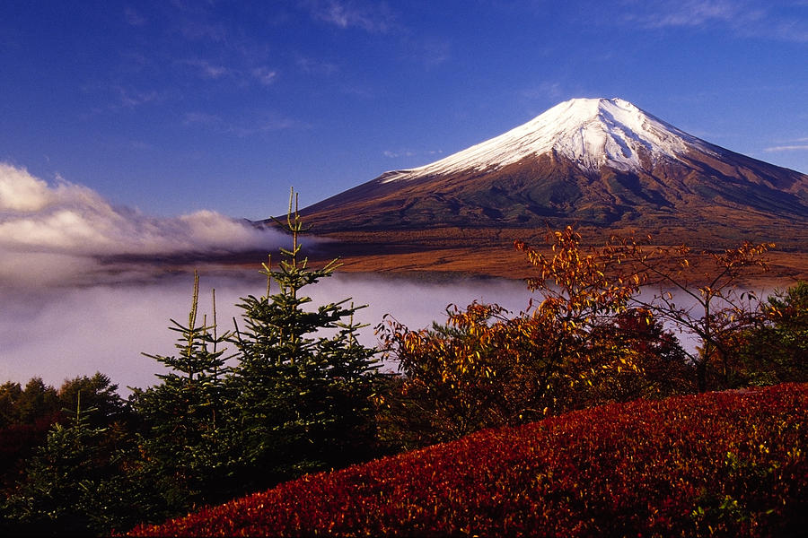 Mount Fuji in Autumn #8 Photograph by Michele Burgess