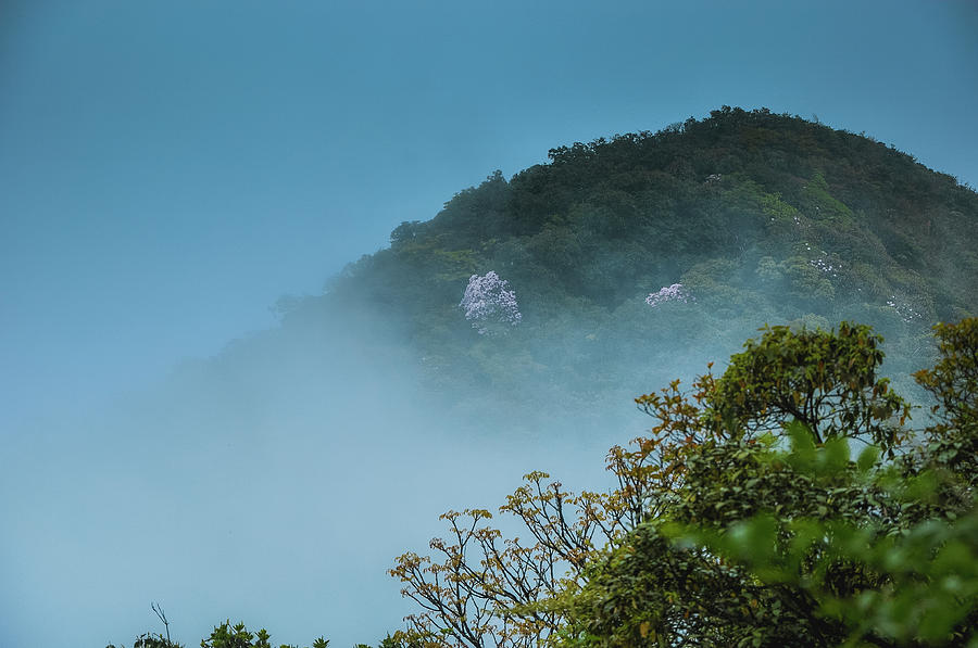 Mountain scenery in the mist #8 Photograph by Carl Ning