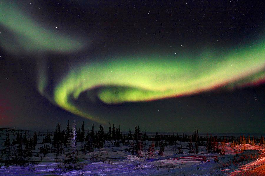 Northern Lights #8 Photograph by David Matthews