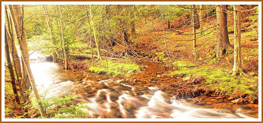 Pocono Mountain Stream, Pennsylvania #8 Photograph by A Macarthur Gurmankin