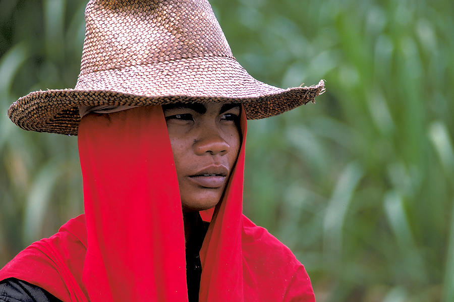 Rice Farmer in Luzon Photograph by Carl Purcell | Fine Art America