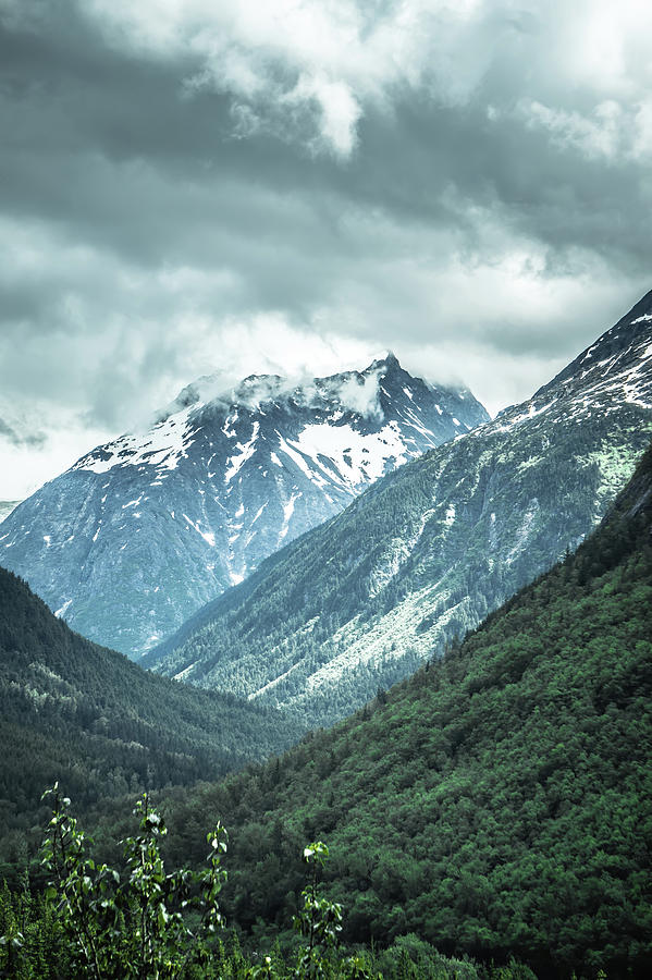 Rocky Mountains Nature Scenes On Alaska British Columbia Border #8 Photograph by Alex Grichenko