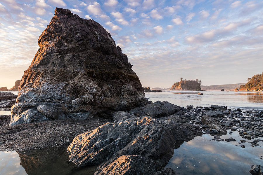 Olympic National Park Photograph - Ruby Beach #8 by Michael Holly