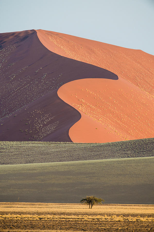 Nature Photograph - Sand Dune, Sossusvlei, Namib Desert #8 by Panoramic Images