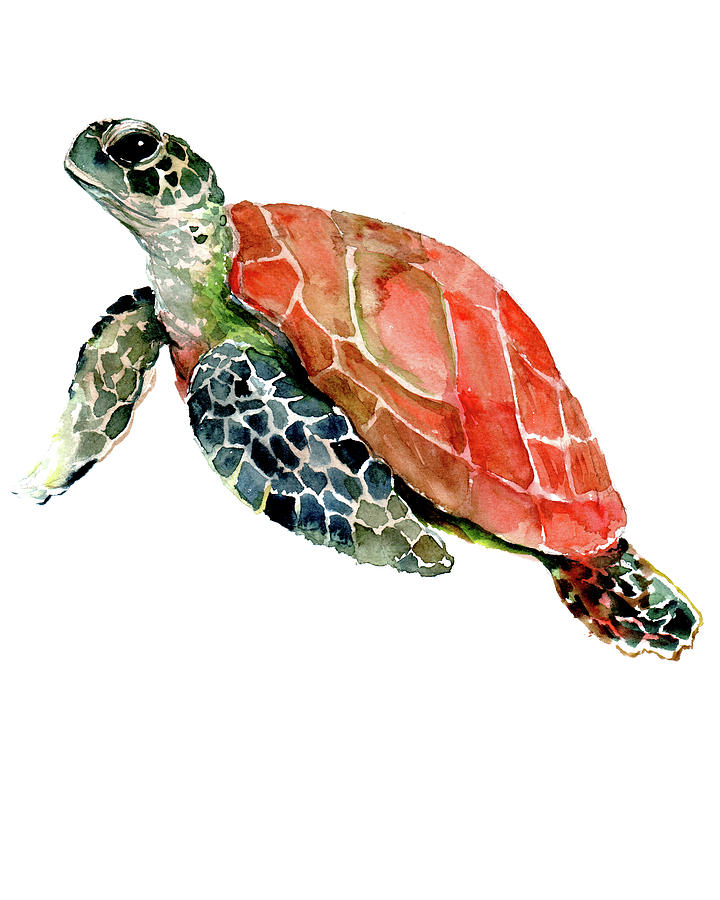 Sea Turtle #8 Painting by Suren Nersisyan