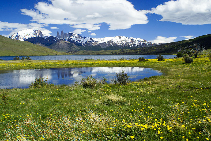 Springtime in Torres del Paine #8 Photograph by Michele Burgess