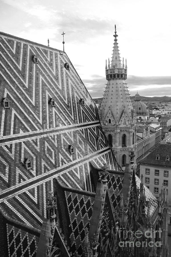 St Stephens Cathedral Vienna in Black and White #1 Photograph by Angela Rath