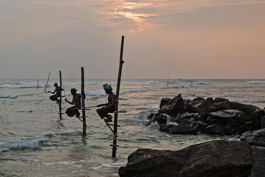 Stilt Fishermen - Sri Lanka #8 Photograph by Joana Kruse