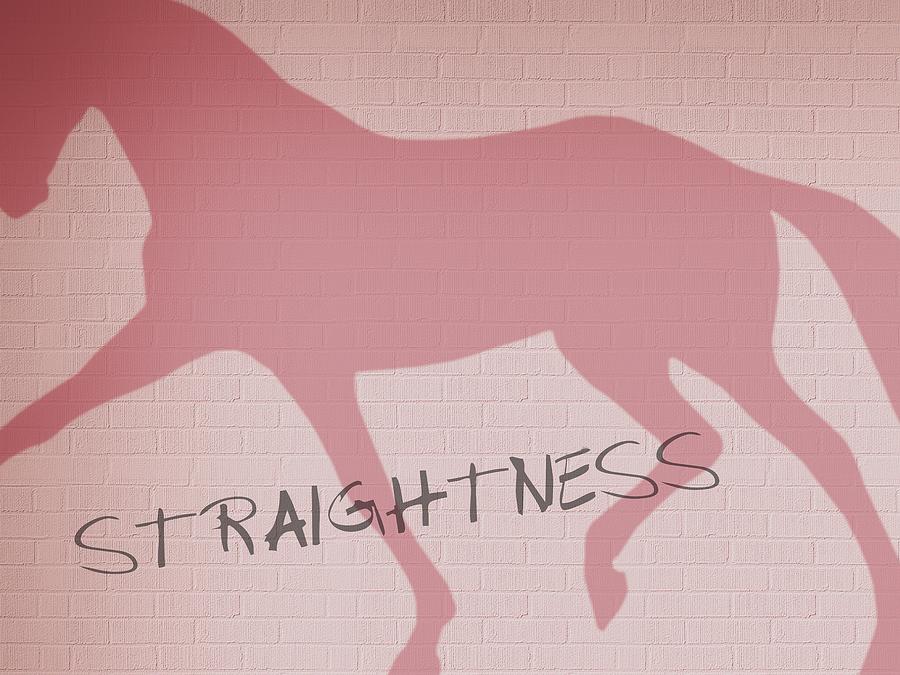 Straightness Graffiti Art Photograph by Dressage Design