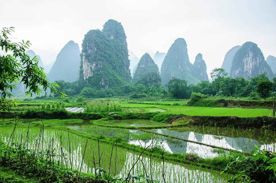 The beautiful karst rural scenery in spring #8 Photograph by Carl Ning