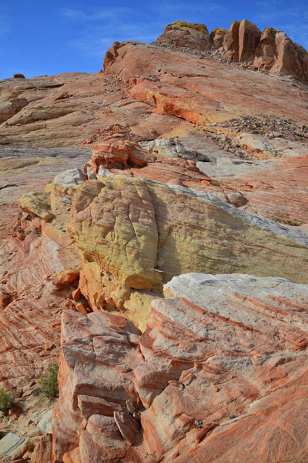 The Many Colors of Valley of Fire #8 Photograph by Ray Mathis