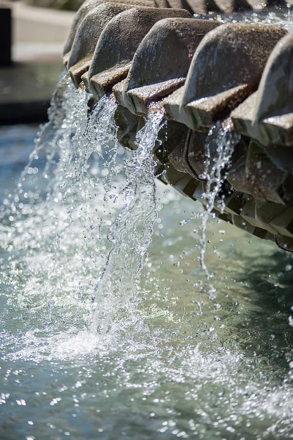 The Pineapple Fountain, at the Waterfront Park in Charleston, So #8 Photograph by Alex Grichenko
