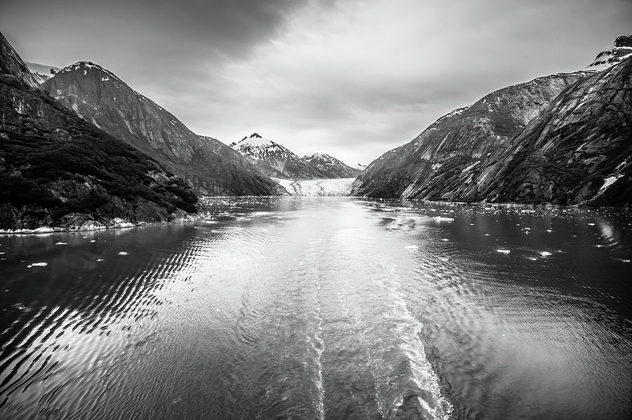 Tracy Arm Fjord Scenery In June In Alaska #8 Photograph by Alex Grichenko