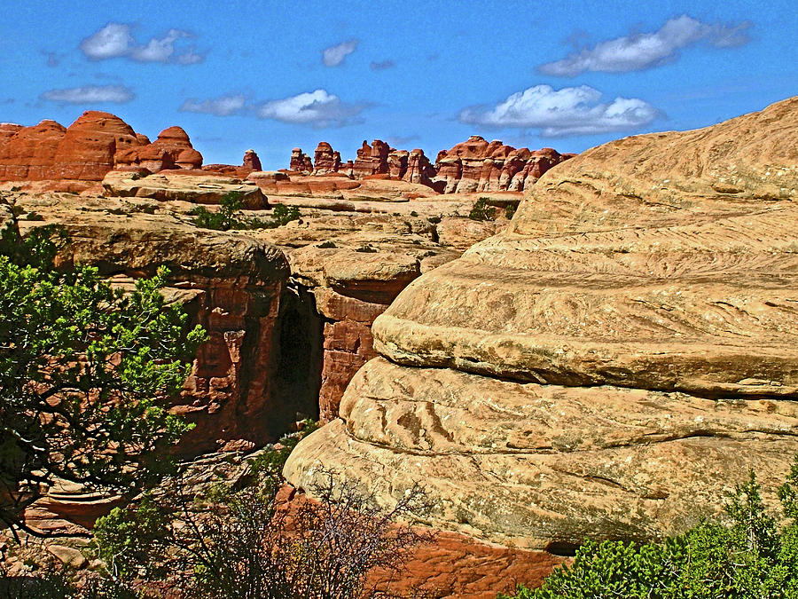Trail to Chesler Park Viewpoint in  Needles District in Canyonlands National Park, Utah  #8 Photograph by Ruth Hager