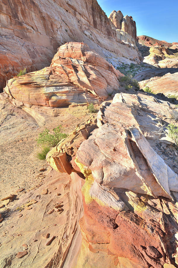 Valley of Fire Back Country #6 Photograph by Ray Mathis