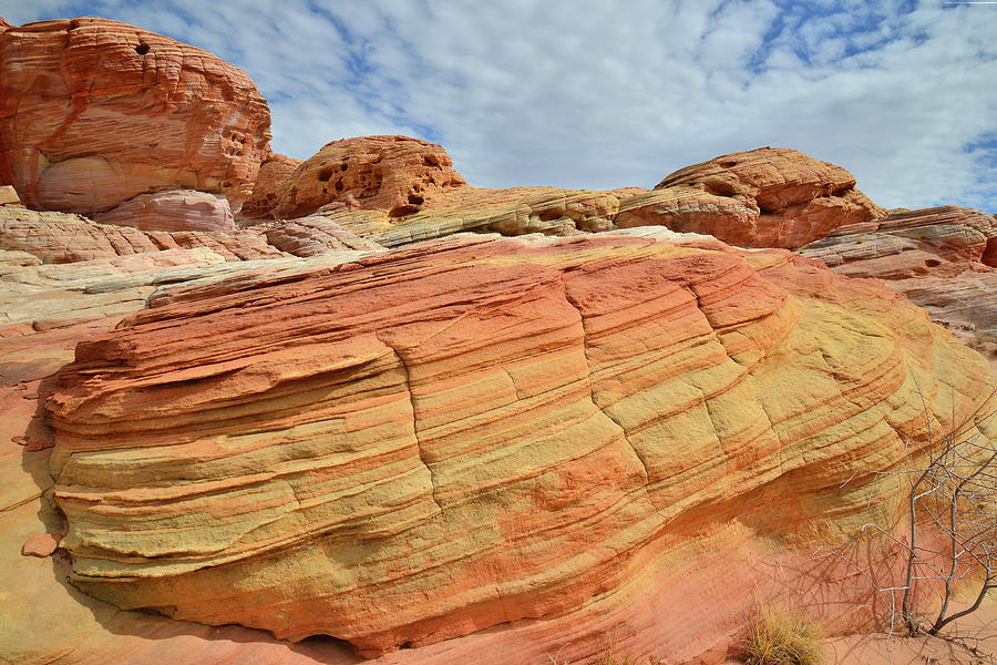 Valley of Fire Colorful Sandstone #8 Photograph by Ray Mathis