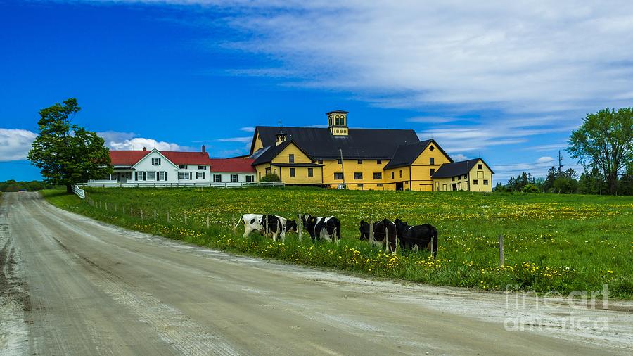 Vermont Dairy Farm. #9 Photograph by New England Photography