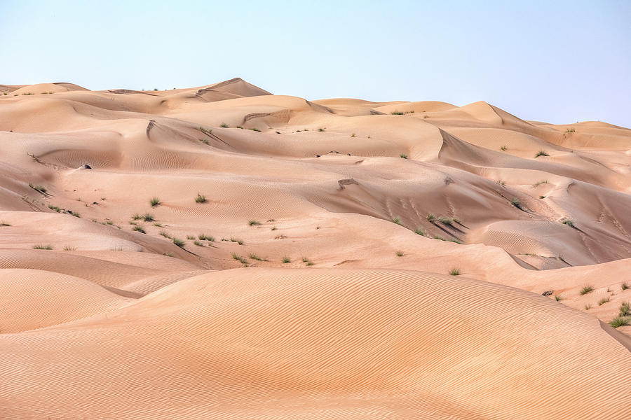 Wahiba Sands - Oman #8 Photograph by Joana Kruse