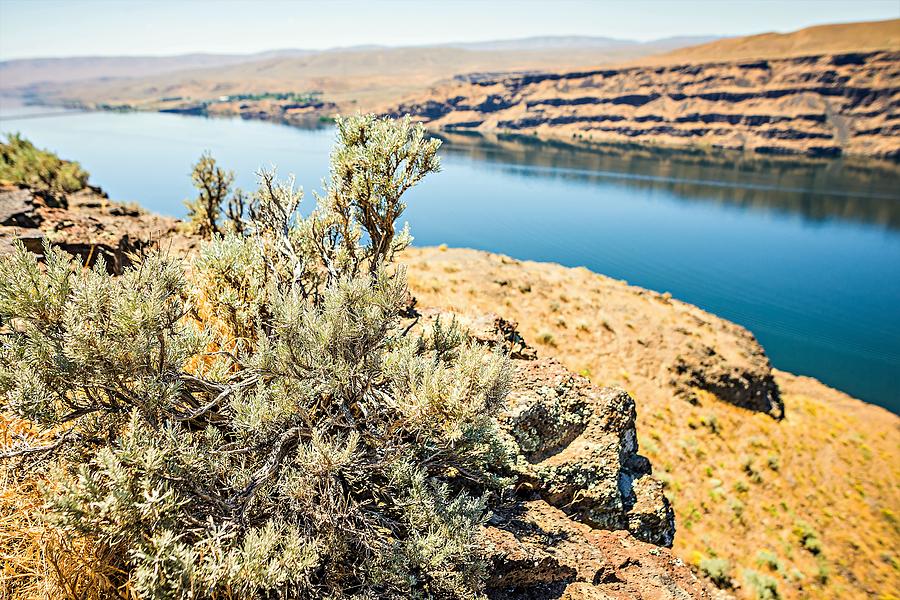 Wanapum Lake Colombia River Wild Horses Monument and canyons #8 Photograph by Alex Grichenko