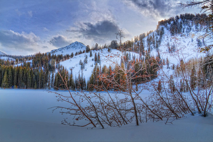 Wasatch Mountains in Winter #8 Photograph by Douglas Pulsipher
