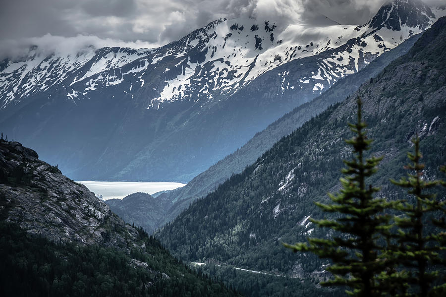 White Pass Mountains In British Columbia #8 Photograph by Alex Grichenko
