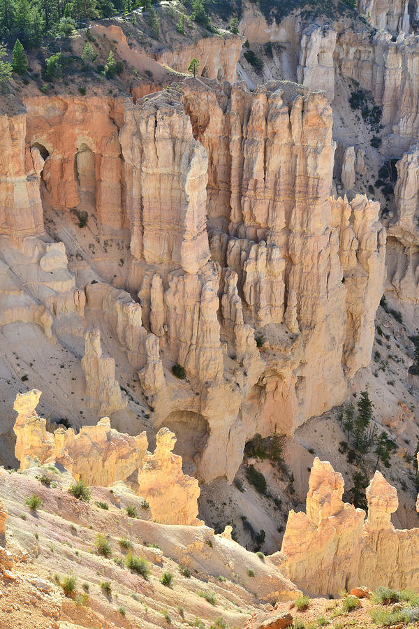 Windows of Bryce Point #3 Photograph by Ray Mathis