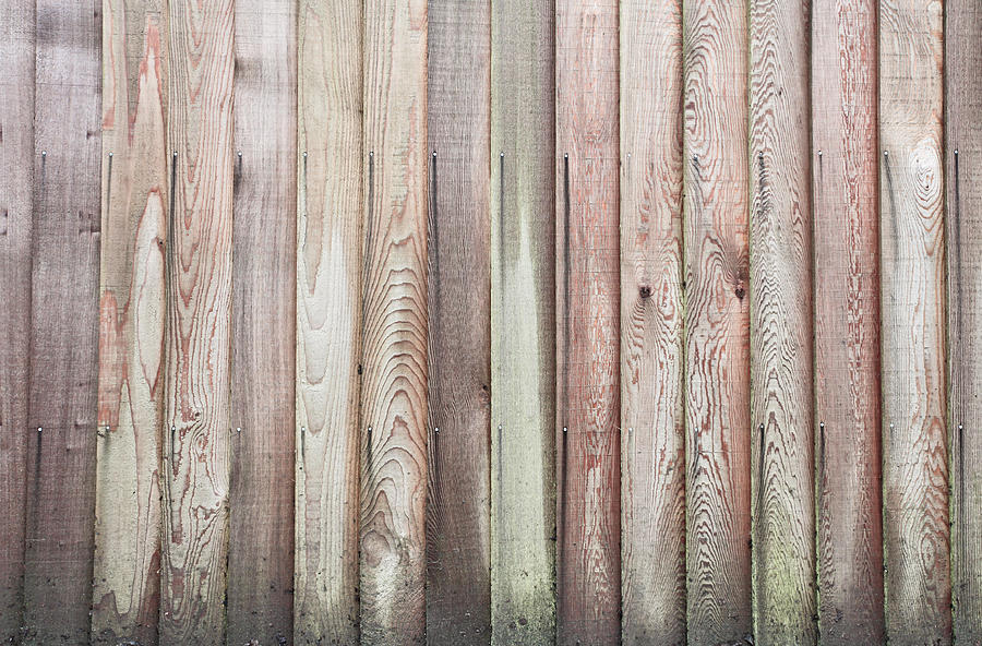 Abstract Photograph - Wooden fence #8 by Tom Gowanlock