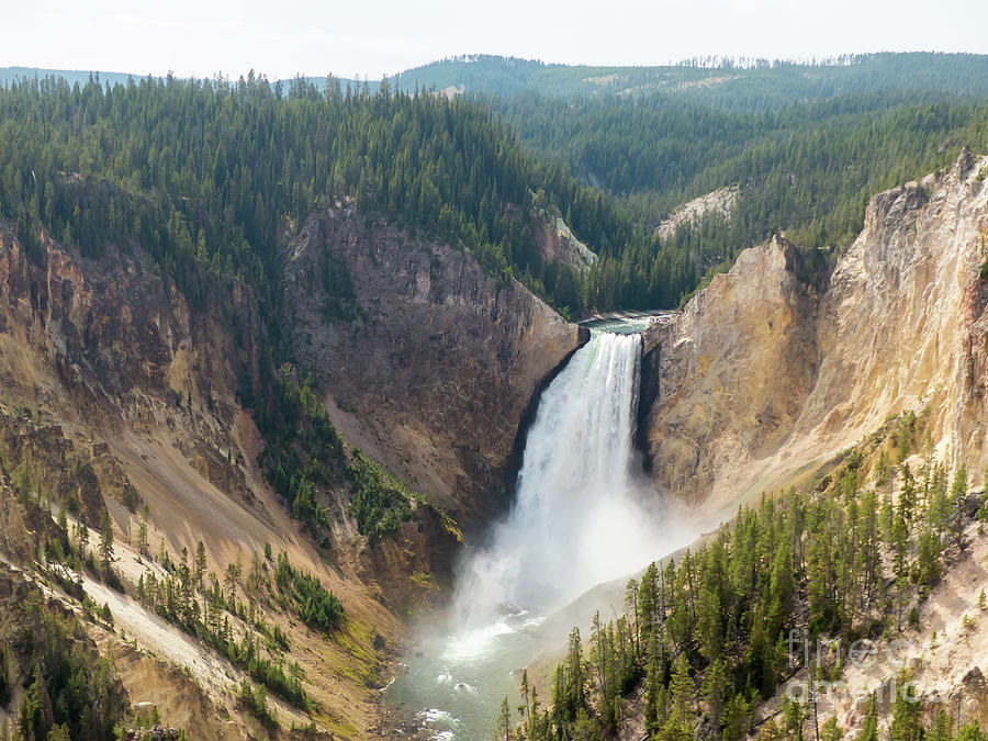 Yellowstone Lower Falls #8 Photograph by Rod Jones