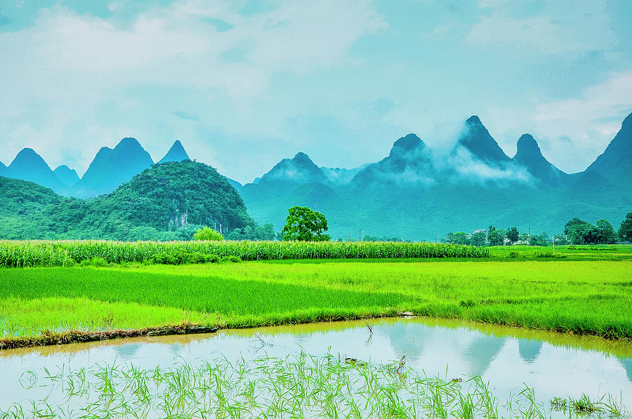 Karst rural scenery in spring #80 Photograph by Carl Ning