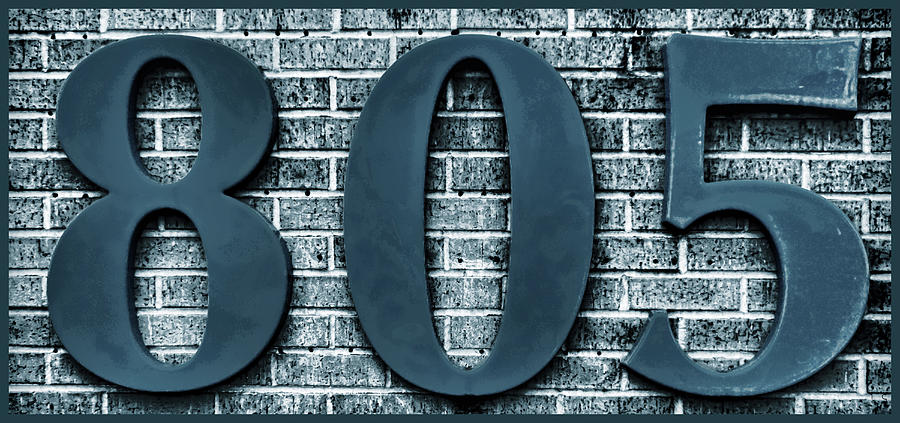 805 Blue Gray  Bricks  with Gray Border Photograph by Tony Grider