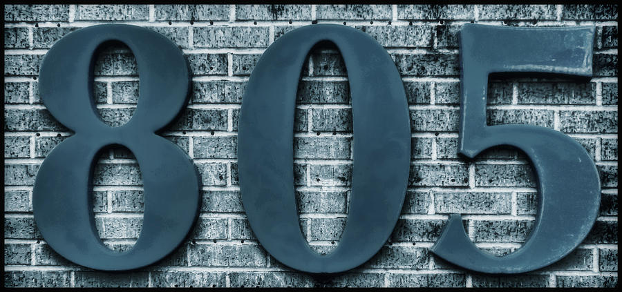 805 Blue Gray Numbers on Bricks Soft-focus Photograph by Tony Grider