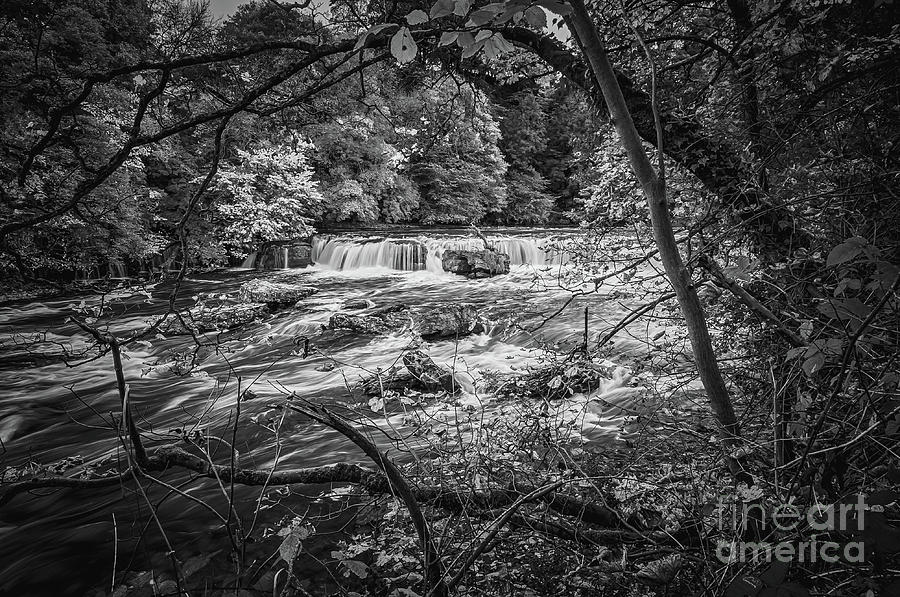 Nature Photograph - Aysgarth Falls #81 by Mariusz Talarek