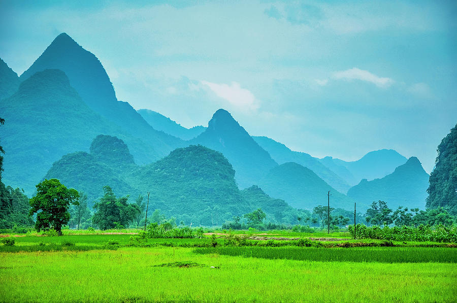 Karst rural scenery in spring #81 Photograph by Carl Ning