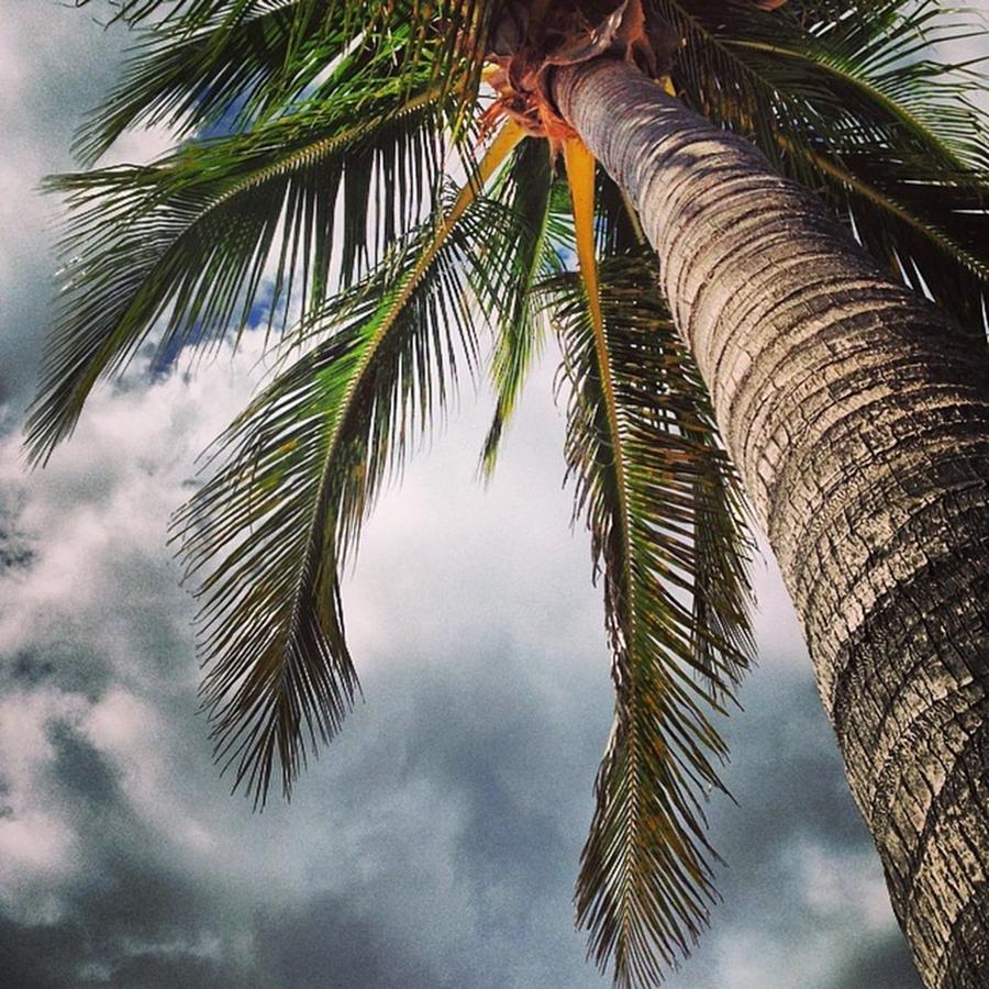 Instagram Photo Photograph by Ben Berry Instagram Photo Photograph by Ben Berry