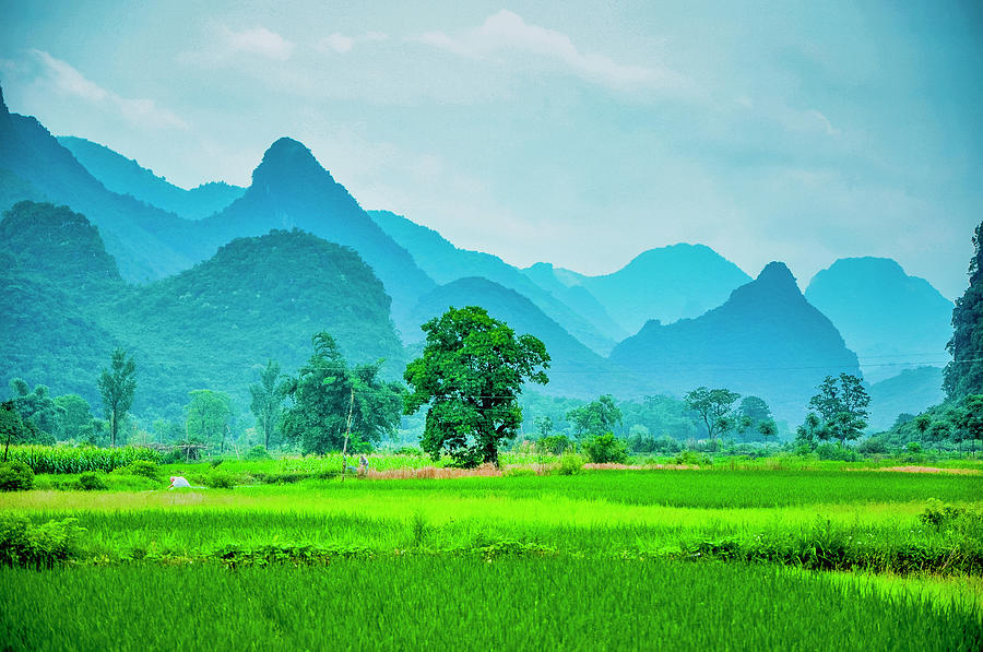 Karst rural scenery in spring #82 Photograph by Carl Ning