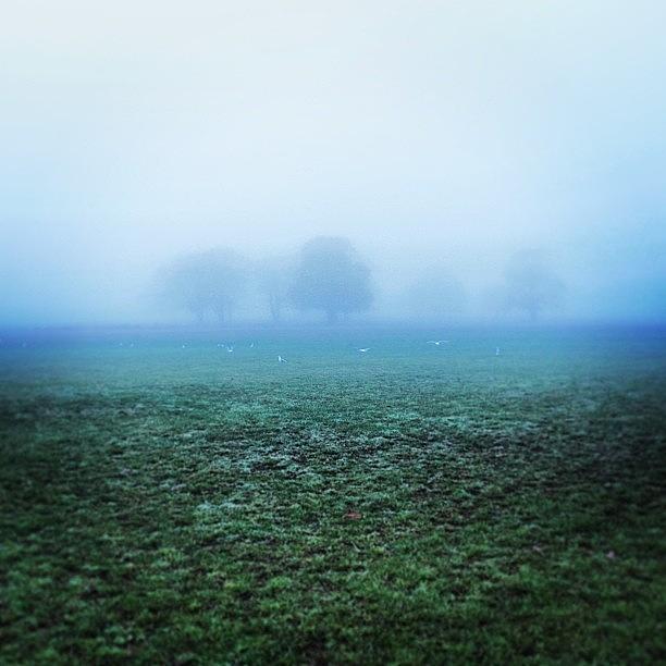 Winter Photograph - Instagram Photo #37 by Beautiful Season